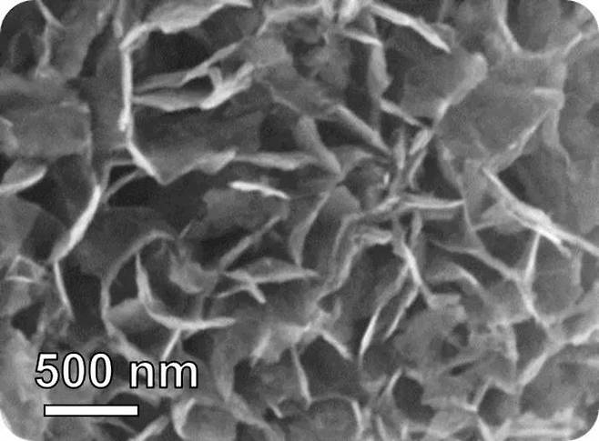 날숨으로 폐암을 감지하는 초고감도 나노센서에 제작에 사용된 나노 플레이크 [ACS Sensors/ Qingyue Wang et al. 제공. 재판매 및 DB 금지]