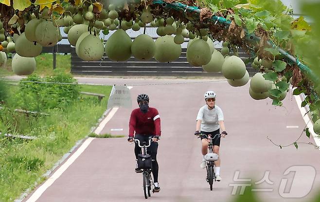 기사 이해를 돕기 위한 사진으로 기사내용과 직접관련 없음. ⓒ News1