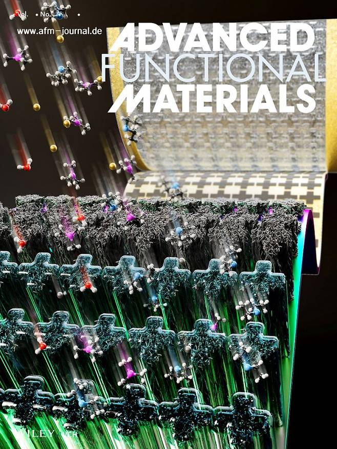 국제학술지 '어드밴스드 펑셔널 머티리얼즈' 6월 호 앞표지. Advanced Functional Materials 제공