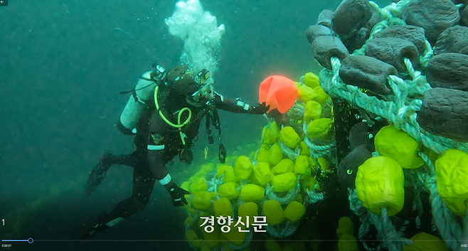 수중 그물 수색 중인 잠수사. 제주해경 제공