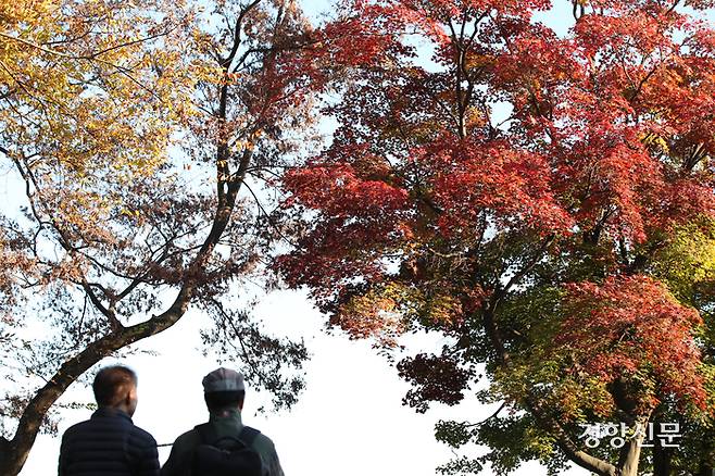 8일 서울 용산구 남산타워를 찾은 시민들이 단풍을 즐기고 있다.