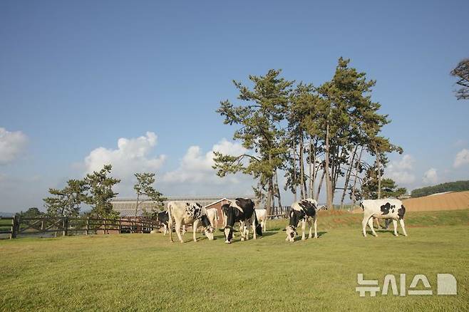 [서울=뉴시스] 상하목장, 국내 최초 저탄소 인증 획득. (사진= 매일유업 제공)