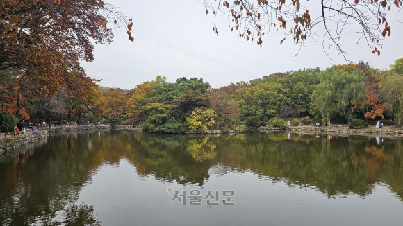 창경궁 춘당지는 가을 경치가 아름다워 웨딩촬영을 하는 커플들이 많이 찾는 명소다.