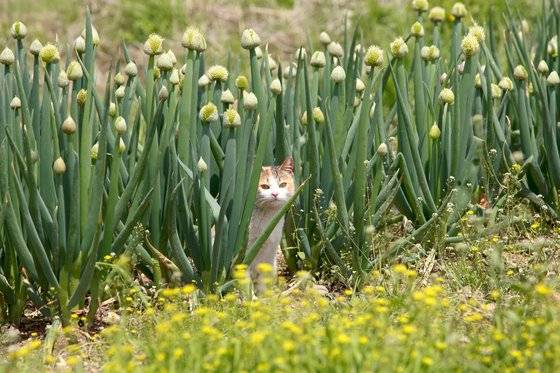 파묘  [사진 이용한]