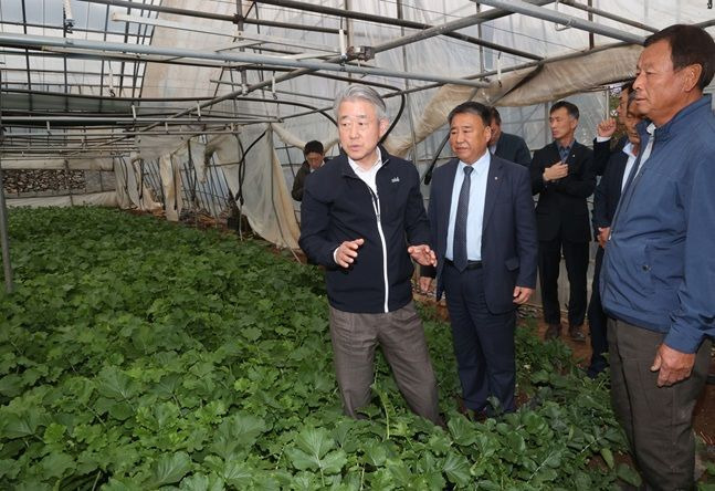 강호동 농협중앙회장이 8일 전남 여수시 소재 무 재배농가에서 생육동향을 점검하고 있다. ⓒ 농협중앙회