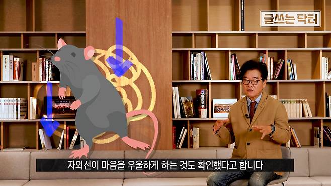/조선일보 유튜브 '글쓰는 닥터'.