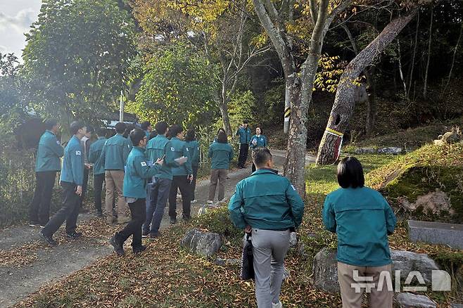 [곡성=뉴시스] 전남 곡성군 소나무 재선충병 긴급 방제. (사진=곡성군청 제공). photo@newsis.com *재판매 및 DB 금지