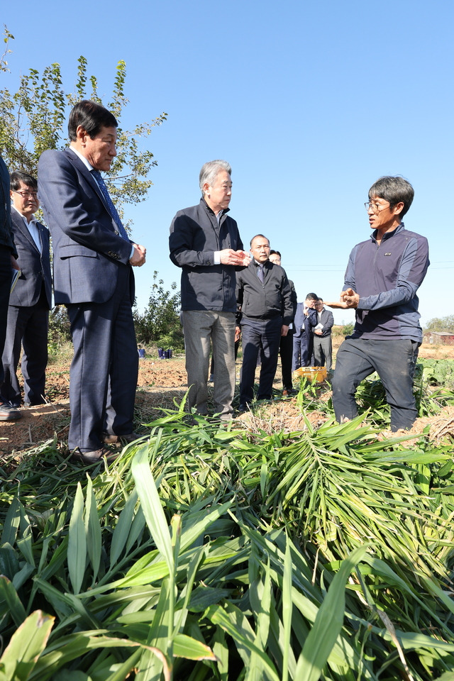 7일 전북 익산 왕궁면의 한 생강밭에서 김조홍 익산 왕궁농협 조합장(앞줄 왼쪽부터), 강호동 농협중앙회장이 농민 백종철씨로부터 이상기후 확산과 영농비 상승에 따른 재배 어려움을 청취하고 있다. 익산=김병진 기자.