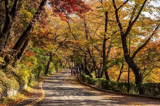 남산 둘레길의 가을 풍경. ⓒ서울시