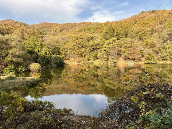 Reservoir at the Gingko tree forest in Yongin, Gyeonggi [LEE JIAN]