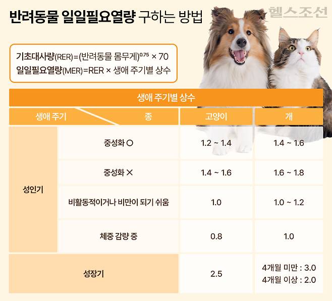 그래픽=김경아
