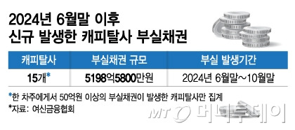 2024년 6월말 이후 신규 발생한 캐피탈사 부실채권/그래픽=김지영