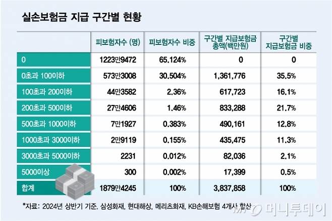 실손보험금 지급 구간별 현황/그래픽=김다나