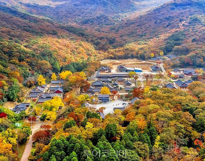 두륜산 가을 단풍/사진-해남군