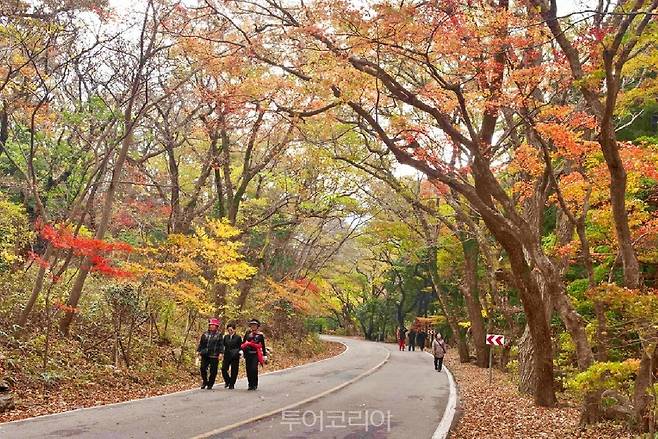 두륜산 가을 단풍/사진-해남군