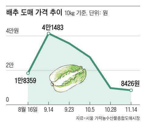 그래픽=김현국