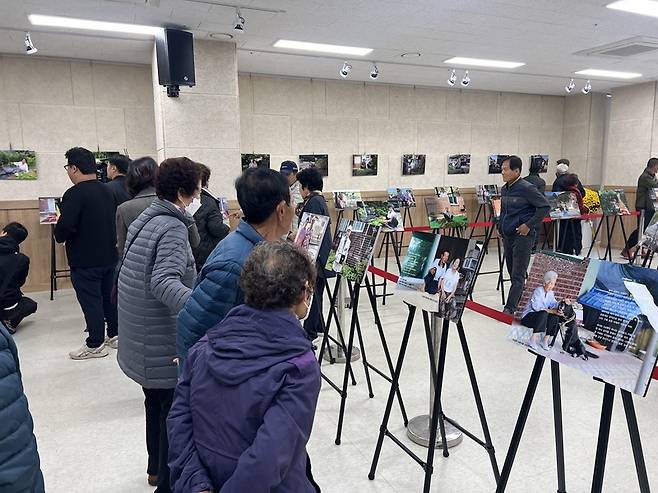 '문화600, 인생 한 컷 및 국화전시회'를 많은 관람객들이 관람하고 있다. / 사진=보성군 제공