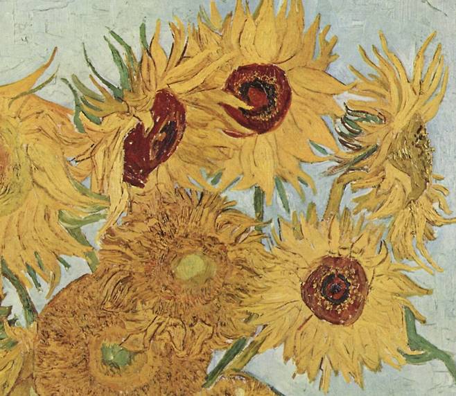 해바라기(부분 확대).