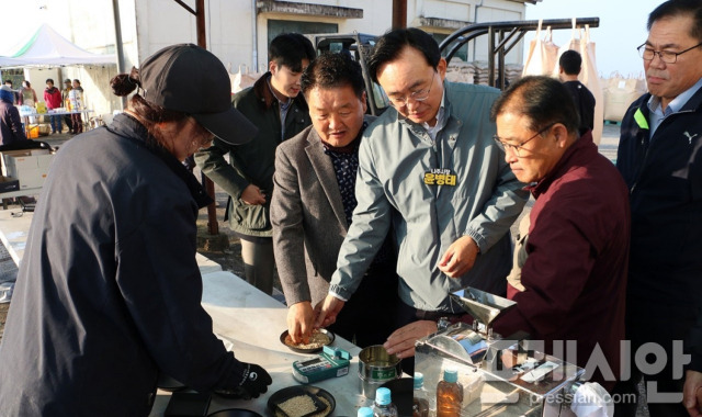 ▲윤병태 시장이 세지·왕곡면 공공비축미 매입현장을 방문해 농업인들과 관계자들을 격려했다.ⓒ나주시 제공