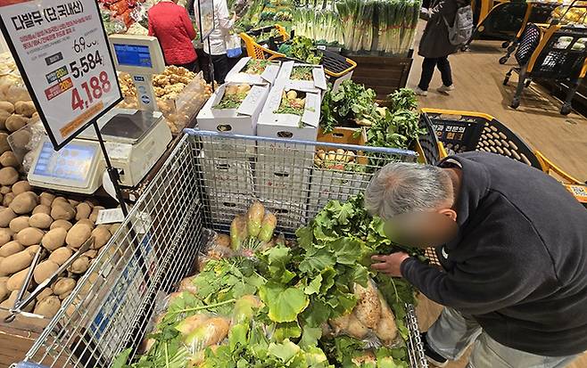 이마트는&nbsp;21일까지 열리는 이번 김장대전에서&nbsp;국내산 배추 1망(3포기)을&nbsp;4488원에 판매한다고 15일 밝혔다.