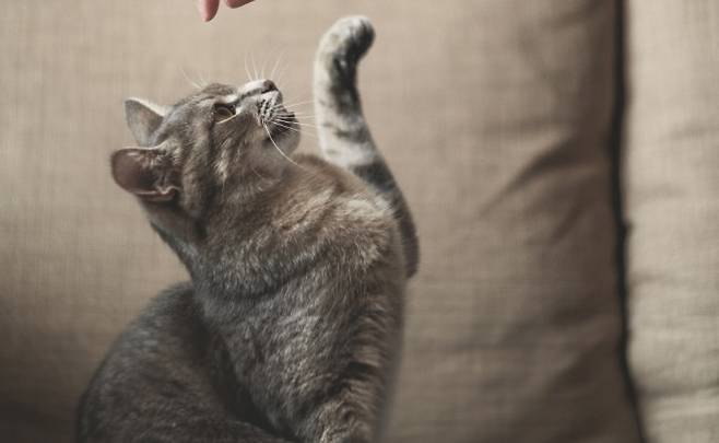 게티이미지뱅크 제공