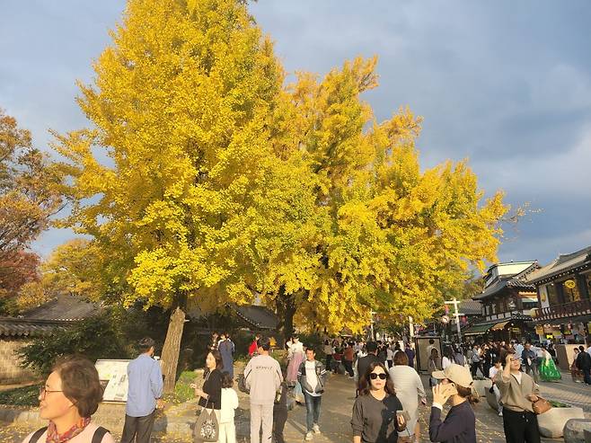 전주 야시장 꼭 먹어야할 음식