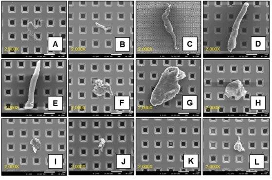 라만 분광법으로 본 미세플라스틱의 다양한 성질과 형태. 사진 고려대 의과대학·한국분석과학연구소(KIAST) 연구진
