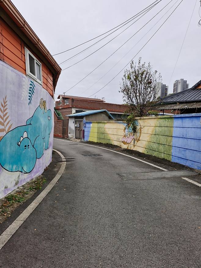 ▲전라남도 화순읍 하광1길 벽화 골목