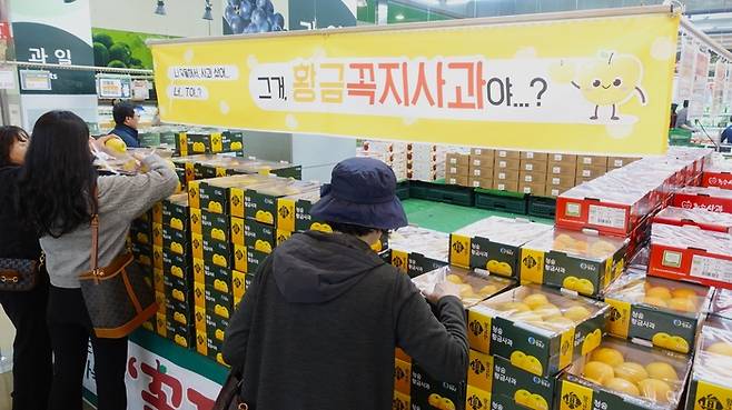 15일 하나로마트 양재점에서 고객들이 청송군에서 올라온 꼭지사과를 구매하고 있다.