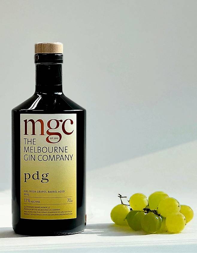 MGC 피노 드 겜브룩. 인스타그램