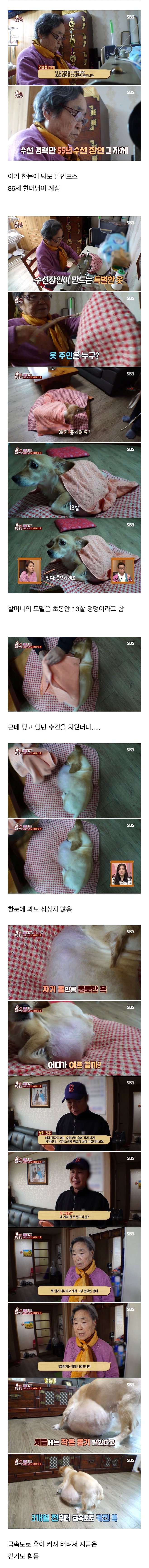 image-2.png 86세 할머니를 울린 동물농장 제작진들.jpg