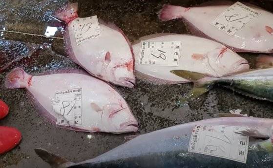 노량진수산시장 안에서 소매점이 아닌 경매 도매상들이 따로 파는 활어는 가격이 훨씬 저렴하다. 사진 유튜브 '푸드매니저'