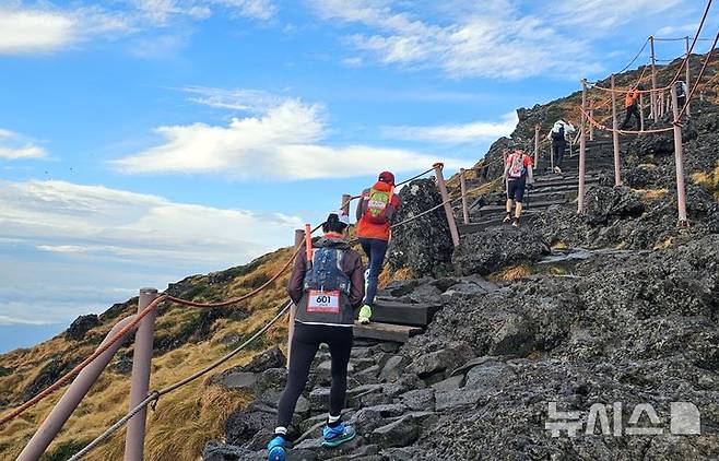 [제주=뉴시스] 임재영 기자 = 한라산을 2번 오르면서 산과 숲길을 달리고 걷는 60㎞ 트레일러닝 레이스에 참가한 선수들이 한라산 동릉을 오르고 있다. 2024.11.16. ijy788@newsis.com