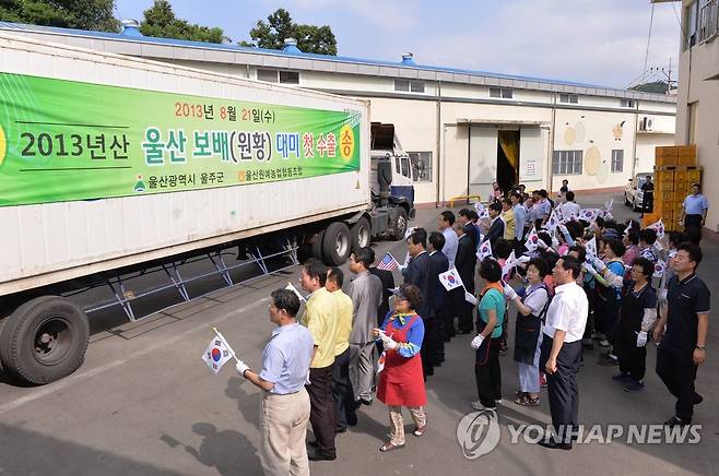 2013년 울산배 미국 수출 [연합뉴스 자료사진]