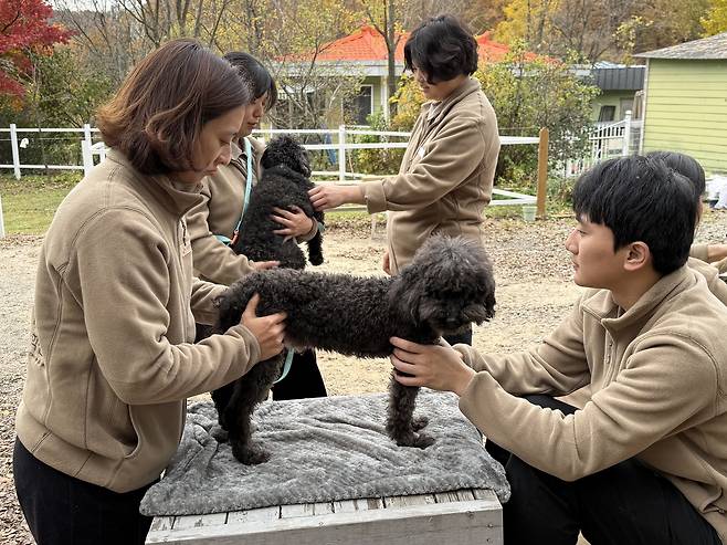 VIP동물한방재활의학센터 바이 닥터(by Dr.) 신사경 임직원이 최근 워크숍을 진행하고 의료봉사활동을 펼쳤다. (동물병원 제공) ⓒ 뉴스1