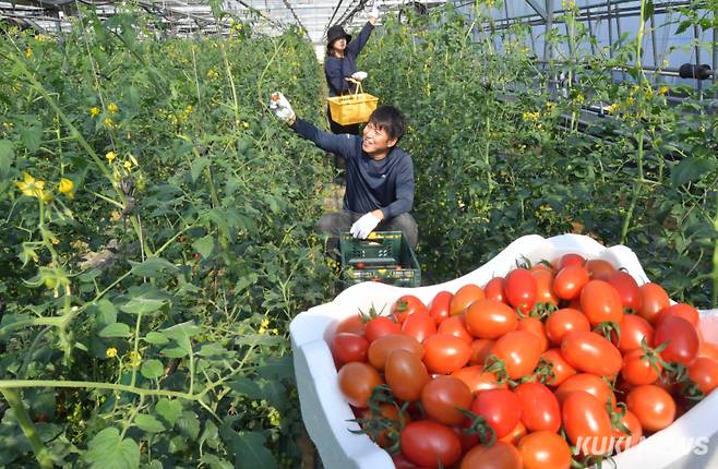 '도시서 생활하고 농촌서 일해요"아이들과 증평읍에서 거주하면서 차로 5분거리에서 친환경 농산물을 재배하는 청년농업인 양창근(42.사진) 씨는 "농사일이 힘들기는 하지만 정년없이 나이들어서도 할 수 있어서 열심히 본업에 충실하고 있다"면서 "증평읍에는 아이들을 키우기에 부족함이 없을 정도로 인프라가 잘 형성되어 있어서 멀리 대도시로 나갈 생각은 없다"고 말했다.