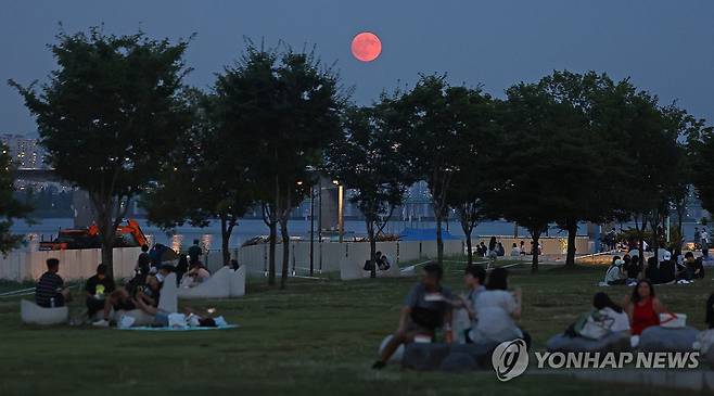 서울 여의도 한강공원 [연합뉴스 자료사진]