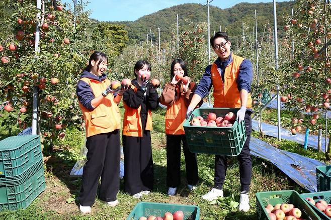 한화 임직원들이 경기 포천시 영중면 관내 사과농가에서 농촌 일손돕기 봉사활동을 진행하고 있다. /사진 제공=한화