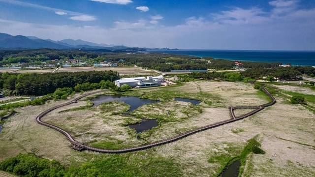 ▲ 오산리 선사시대 주거지 추정 지역 모습