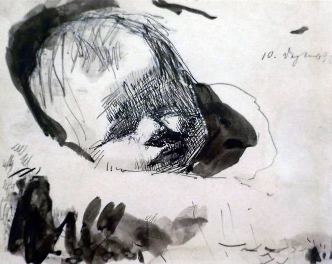 케테 콜비츠, ‘자고 있는 아이의 머리’