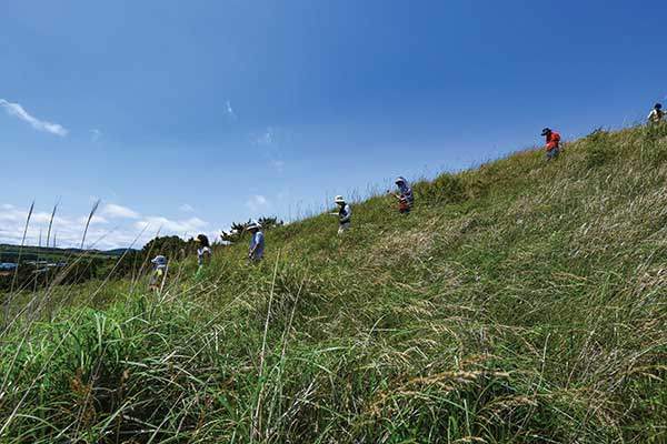 누운오름 북쪽 봉우리에서 내려서는 여행자들. 이곳 또한 띠와 억새로 가득 덮였다.