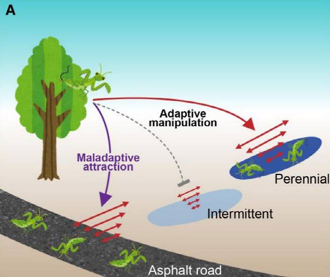 (사진=PNAS 넥서스 캡처)