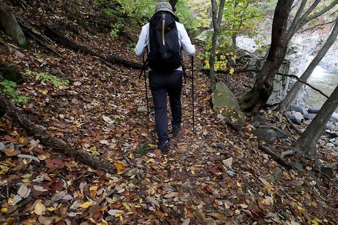깊어가는 가을 숲길을 걷고 있는 등산객