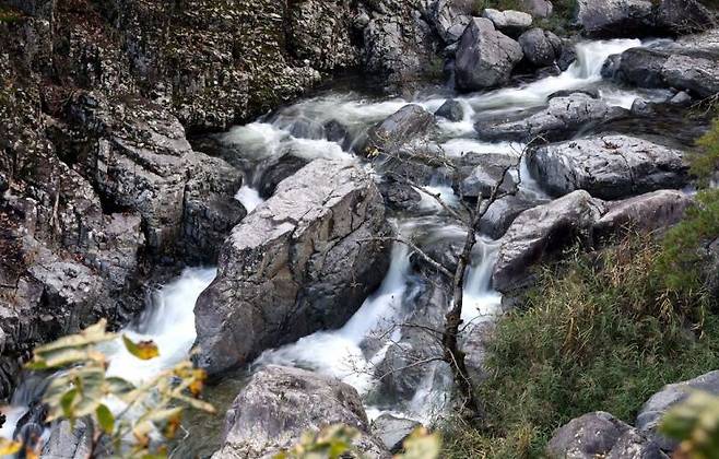 내연산 계곡의 물줄기가 시원하게 흘러가고 있다