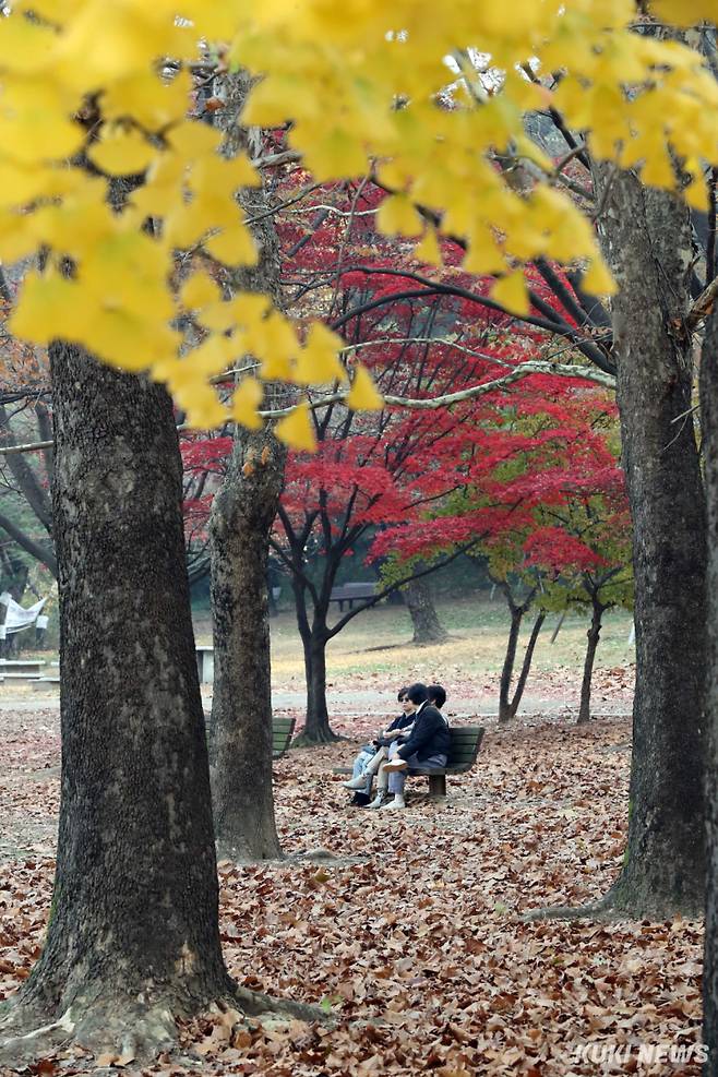 21일 오후 올림픽공원을 찾은 시민들이 알록달록 곱게 물든 단풍과 낙엽 속에서 늦가을 정취를 감상하며 이야기를 나누고 있다.