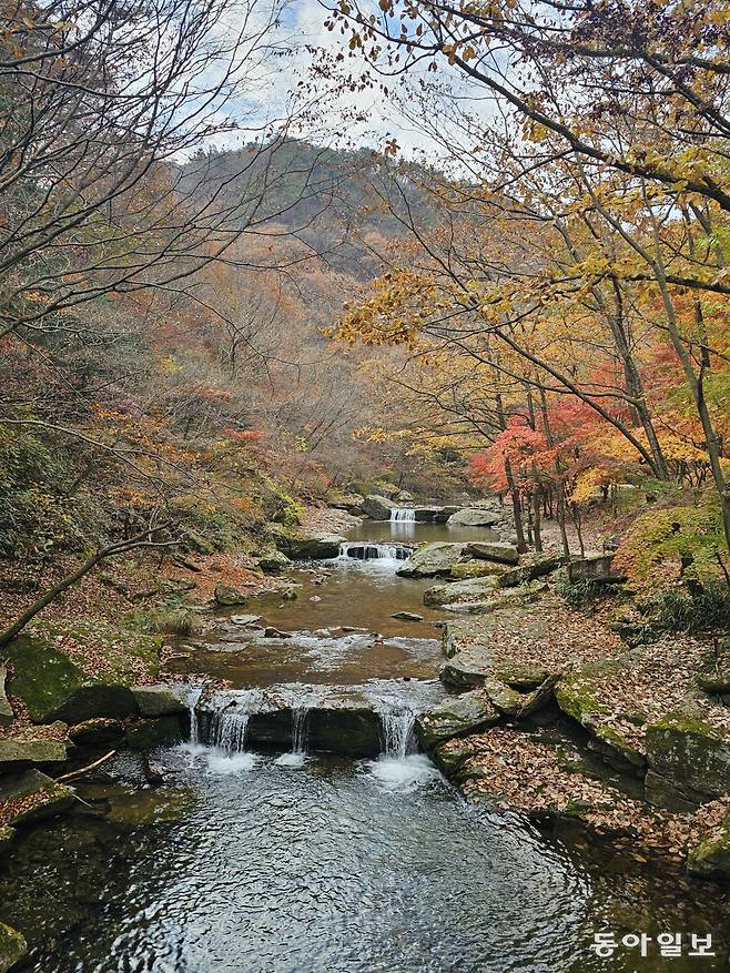단풍이 물든 순창 강천산 계곡. 전승훈 기자 raphy@donga.com