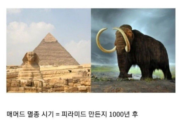image.png 이집트 역사 체감짤