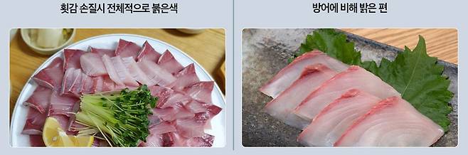 그래픽=최우연