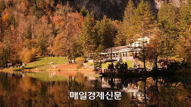 가을이 내려앉은 블라우제 / 사진=홍지연 여행+ 기자