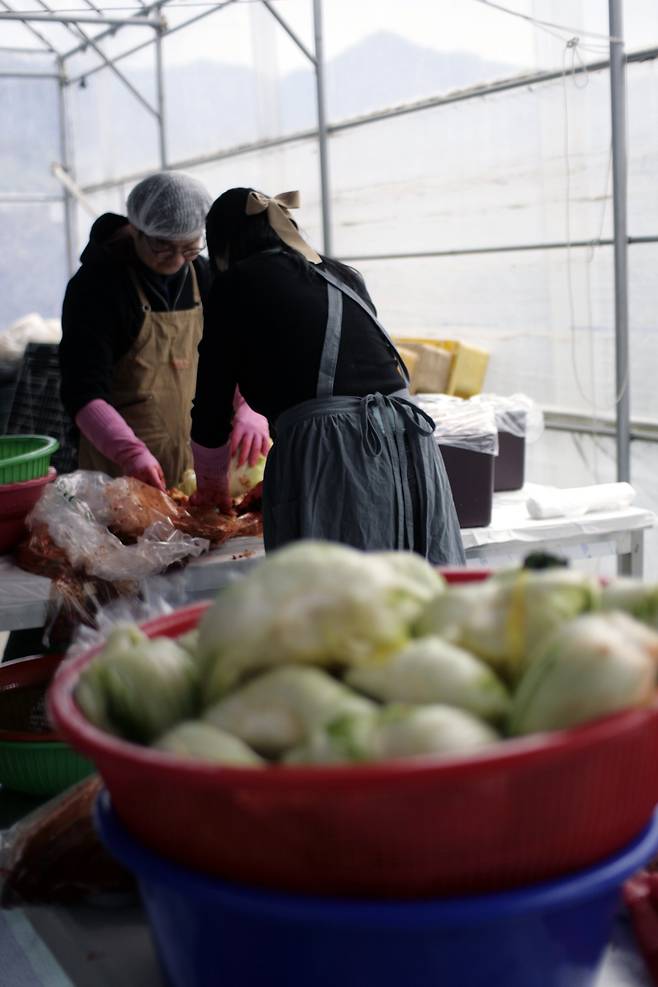 괴산군 둔율올갱이마을(둔율영농조합법인) 김장 체험장은 최대 10팀씩만 김장 체험을 진행해 오붓한 분위기다. 지난 17일 세종시에서 온 부부가 정답게 김장을 하고 있다. / 박근희 여행기자